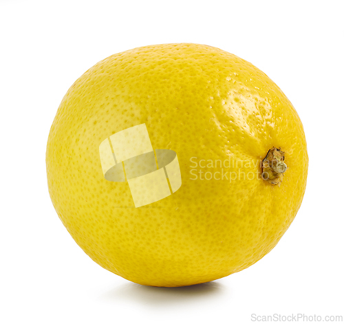 Image of Untitled