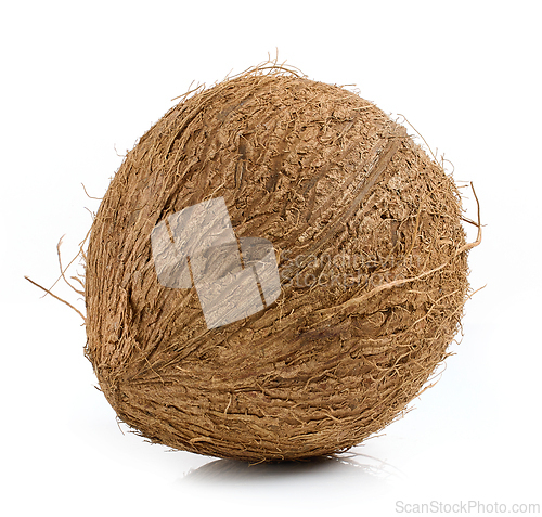 Image of fresh ripe whole coconut fruit 
