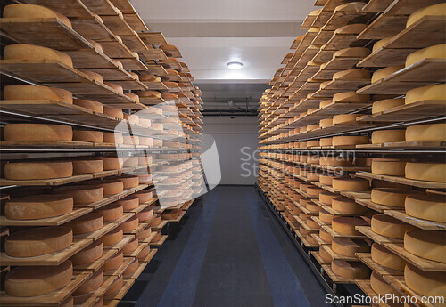 Image of Countless cheese rounds
