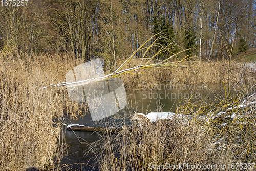 Image of lake at winter time