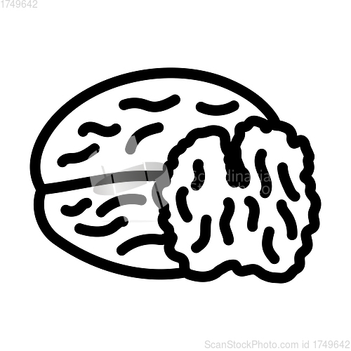 Image of Walnut Icon