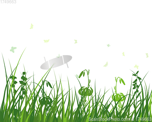Image of Green Grass Meadow
