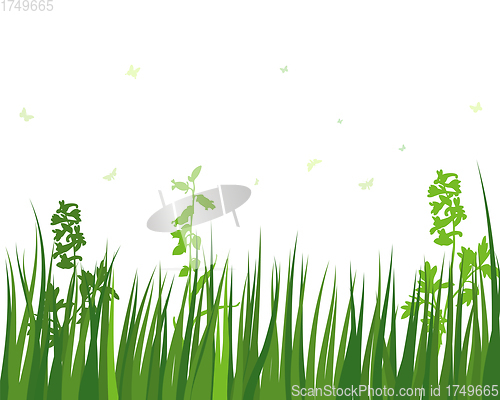 Image of Green Grass Meadow