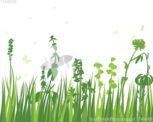 Image of Green Grass Meadow