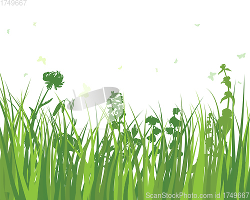 Image of Green Grass Meadow