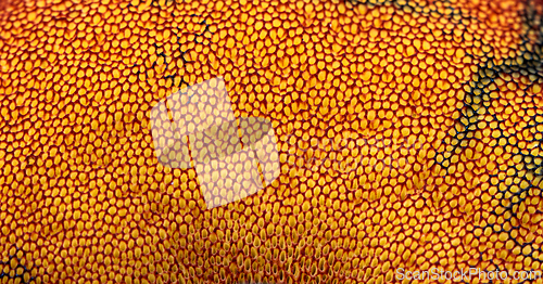 Image of Yellow orange abstract background