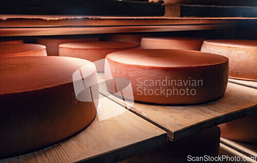 Image of Large cheese wheels