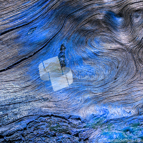 Image of A shot of a dry, cracked, old root with a blue color. Background
