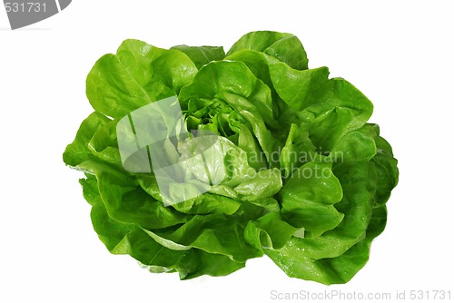 Image of green lettuce isolated over white