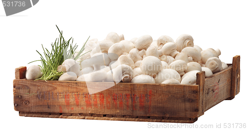 Image of Crate of fresh white mushroom