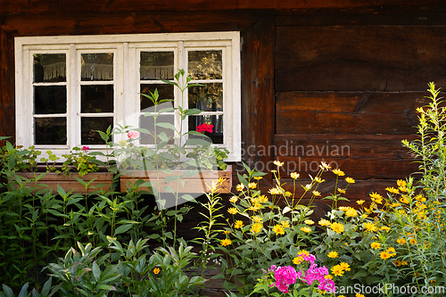 Image of A white window of a country cottage among flowers