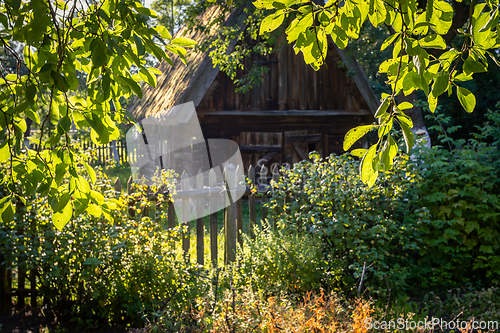 Image of An old wooden cottage in the morning sun