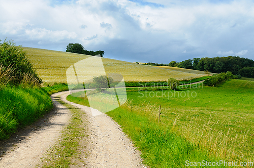 Image of Winding Country Pathway Through Lush Green Fields Under Bright B