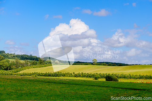 Image of Serene Countryside Landscape With Lush Green Fields and Fluffy W