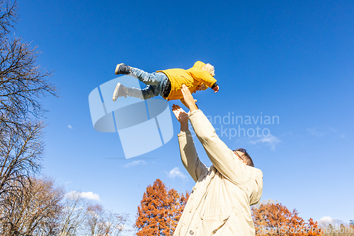 Image of More, more,...dad, that's fun. Happy young father throws his cute little baby boy up in the air. Father's Day, Father and his son baby boy playing and hugging outdoors in nature in fall.