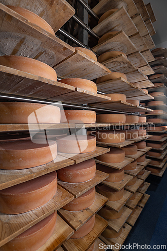 Image of Rows of cheese wheels