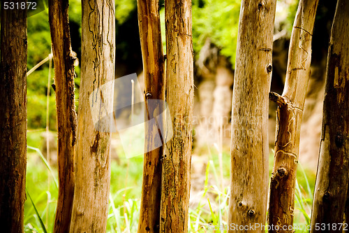 Image of Wood Fence