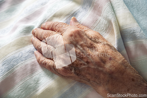 Image of Winkled hand of an 100 old senior elderly women resting peacefully on hospital bedding. Concept of life, aging, health, illness, dying, compassion, ...