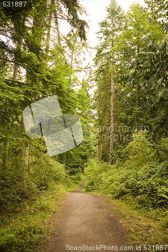 Image of Pacific Northwest Trail