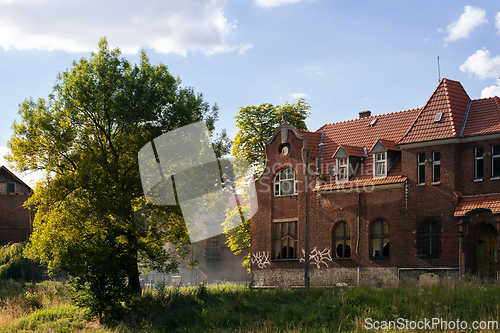 Image of An old, ruined brick tenement house and tree