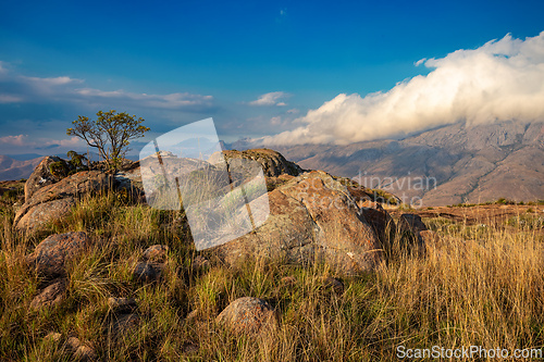 Image of Andringitra national park,mountain landscape, Madagascar wilderness landscape