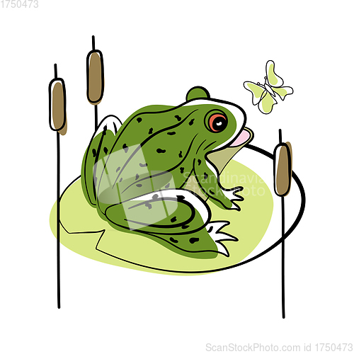 Image of Doodle Sketch Frog