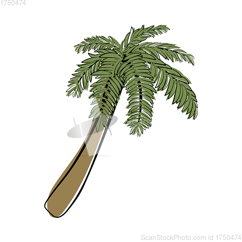 Image of Doodle Sketch Palm Tree