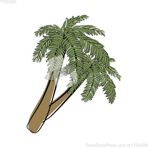 Image of Doodle Sketch Palm Tree