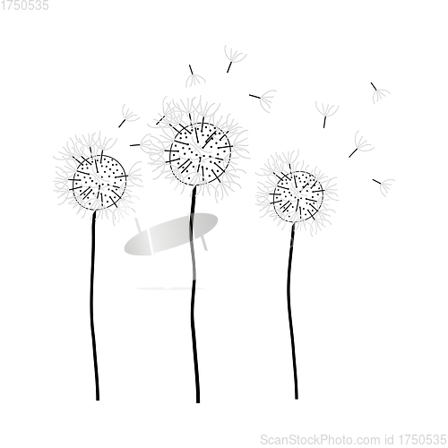Image of Doodle Sketch Dandelion