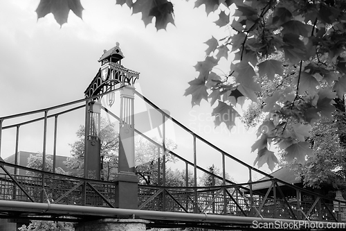 Image of Old metal bridge and leaves