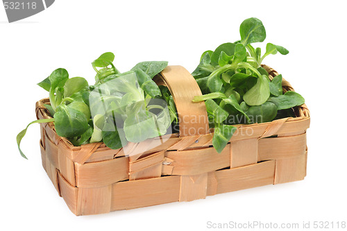 Image of Field salad