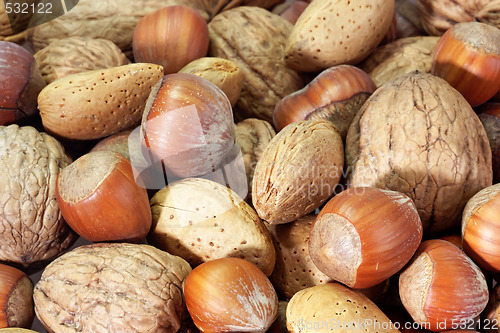 Image of Nuts