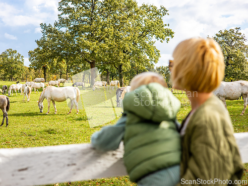 Image of Rear view of woman and child observe horses grazing in a green rural field
