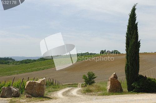 Image of Tuscan Hill