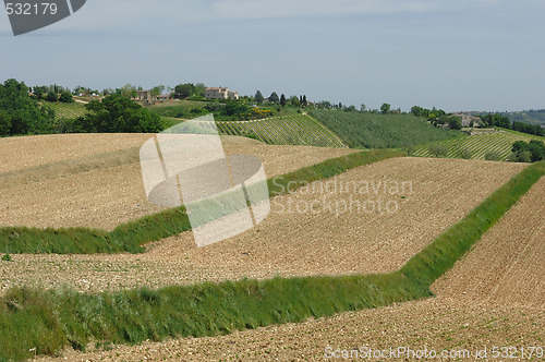 Image of Tuscan Landscape