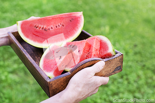 Image of Watermelon