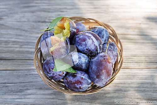 Image of Plum