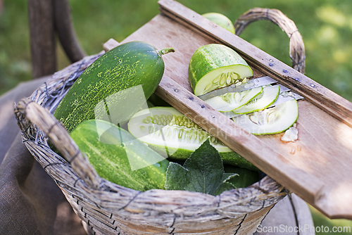 Image of Cucumber