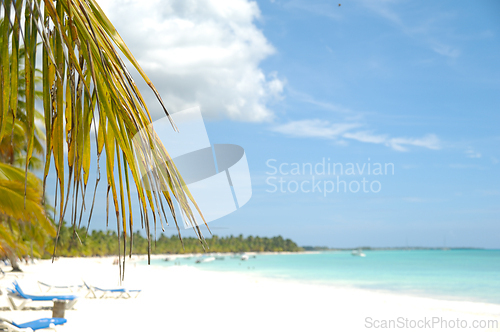 Image of Tropical beach. The Dominican Republic, Saona Island