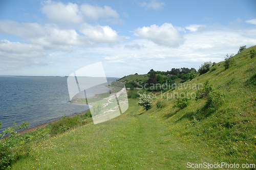 Image of Green Landscape