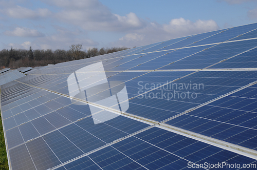 Image of Rows of solar panels