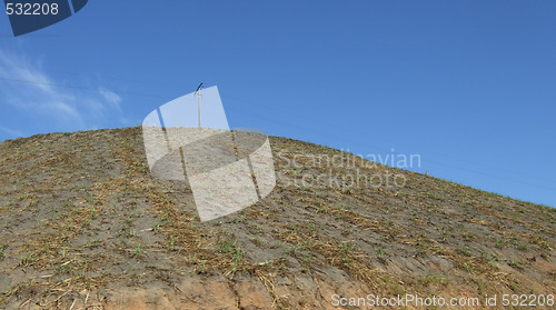 Image of sugar cane plantation on the hill