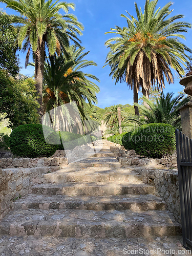 Image of beautiful garden in Mallorca