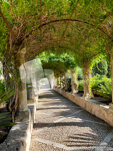 Image of beautiful garden in Mallorca
