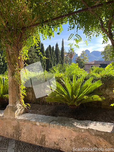 Image of beautiful garden in Mallorca