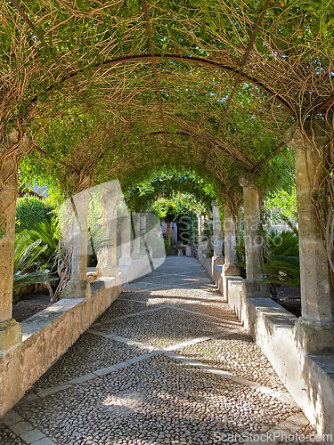 Image of beautiful garden in Mallorca