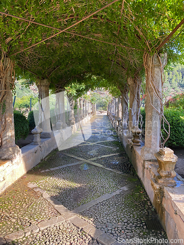 Image of beautiful garden in Mallorca