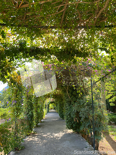 Image of beautiful garden in Mallorca