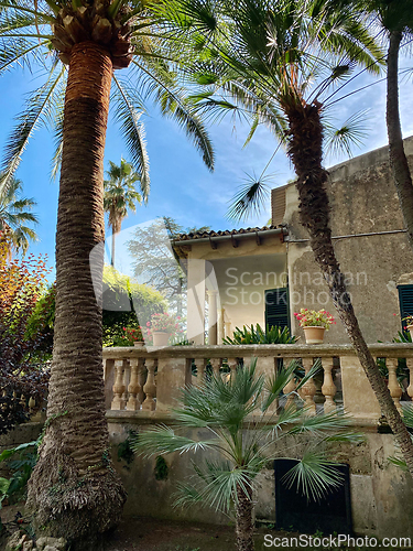 Image of beautiful garden in Mallorca