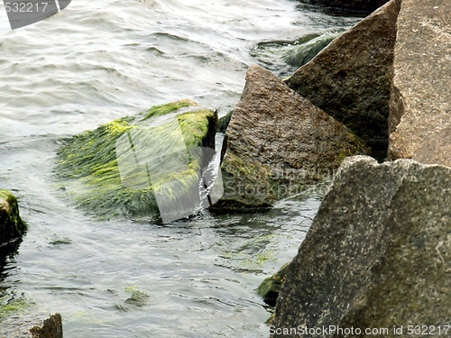 Image of marine stones